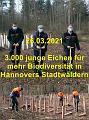 A 3000 Eichen  V -